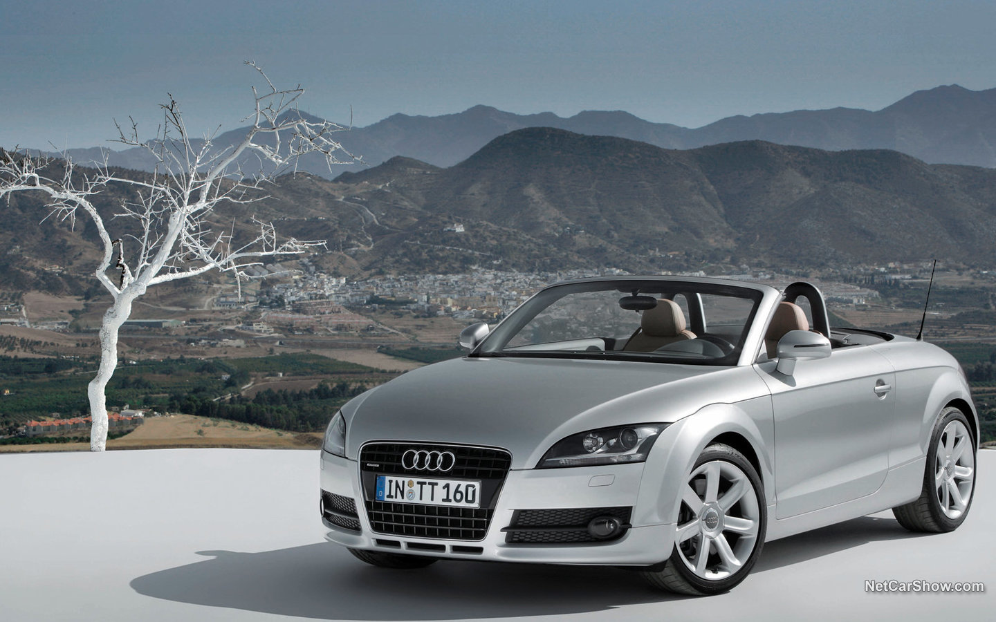 Audi TT Roadster 2007 f01bdf4d