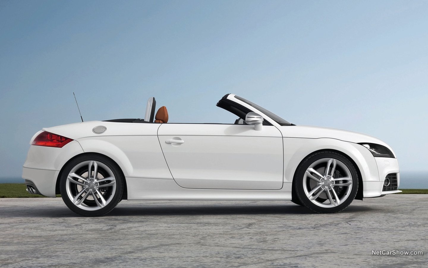 Audi TTS Roadster 2009 f695574b