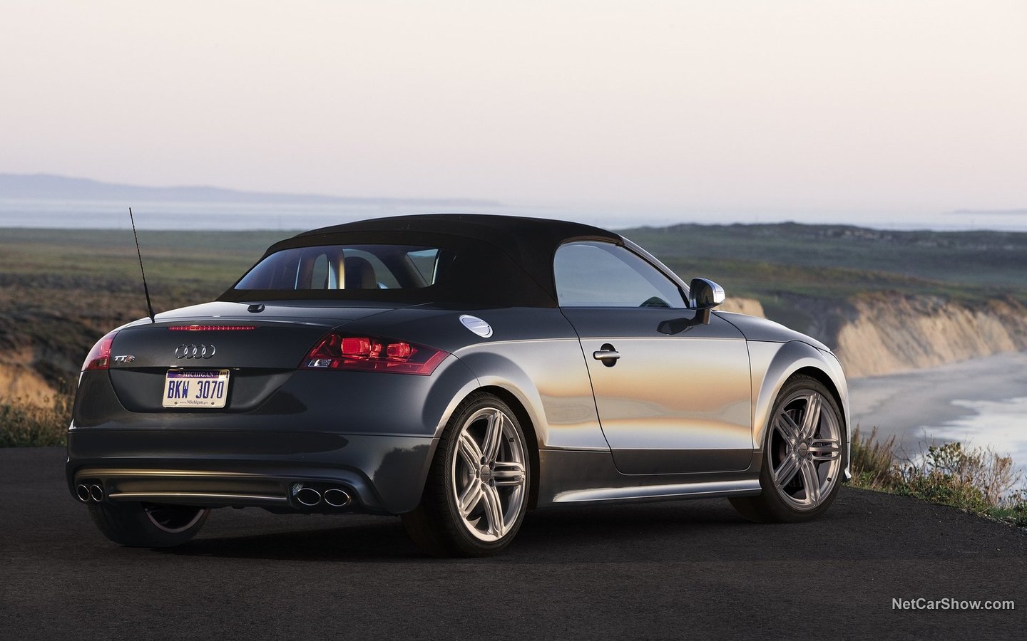 Audi TTS Roadster 2011 61023862