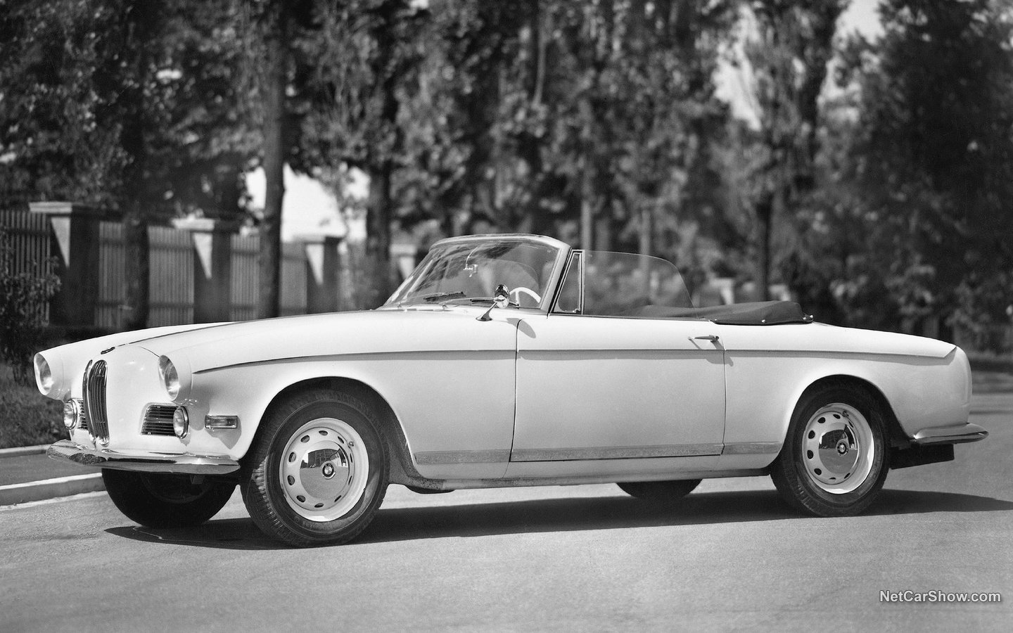 BMW 503 Cabriolet 1956 70ae2881