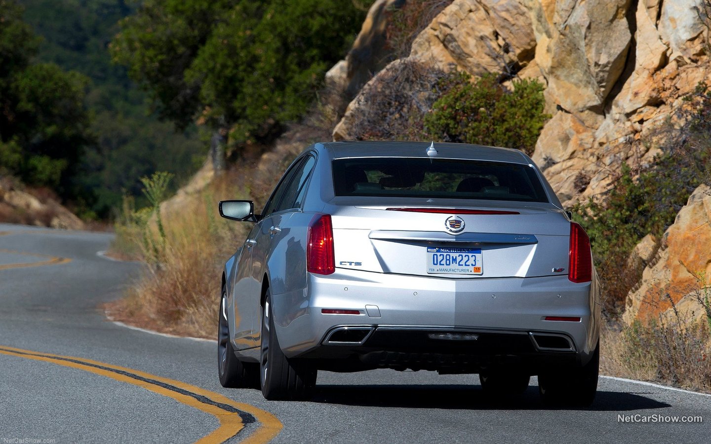 Cadillac CTS 2014 10c500d0