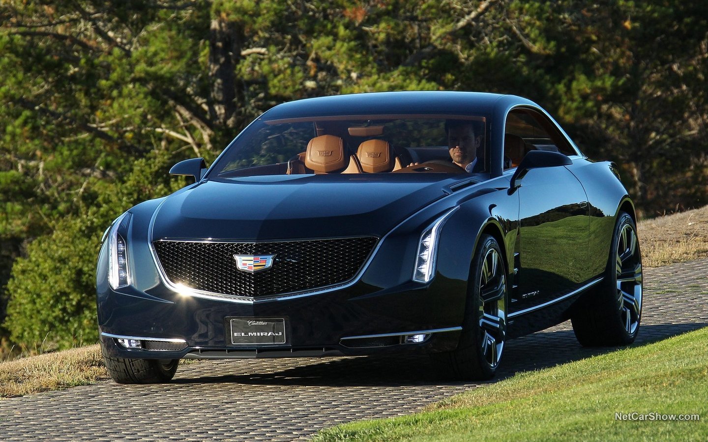 Cadillac Elmiraj Concept 2013 398eec70