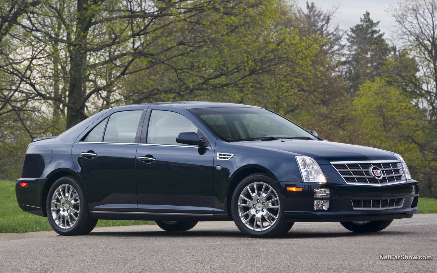 Cadillac STS 2008 45c242c5