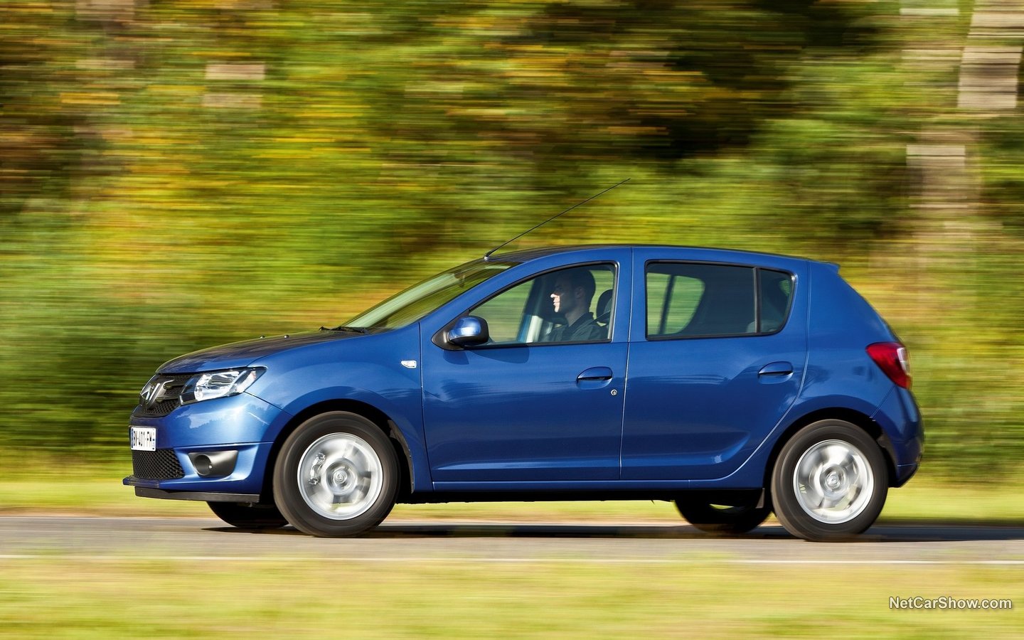 Dacia Sandero 2013 0095a137