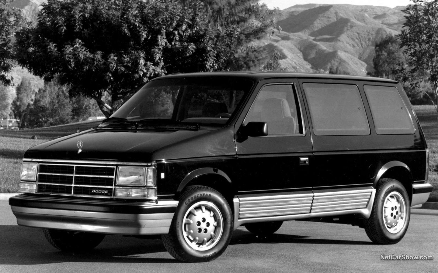 Dodge Caravan 1988 ff749013