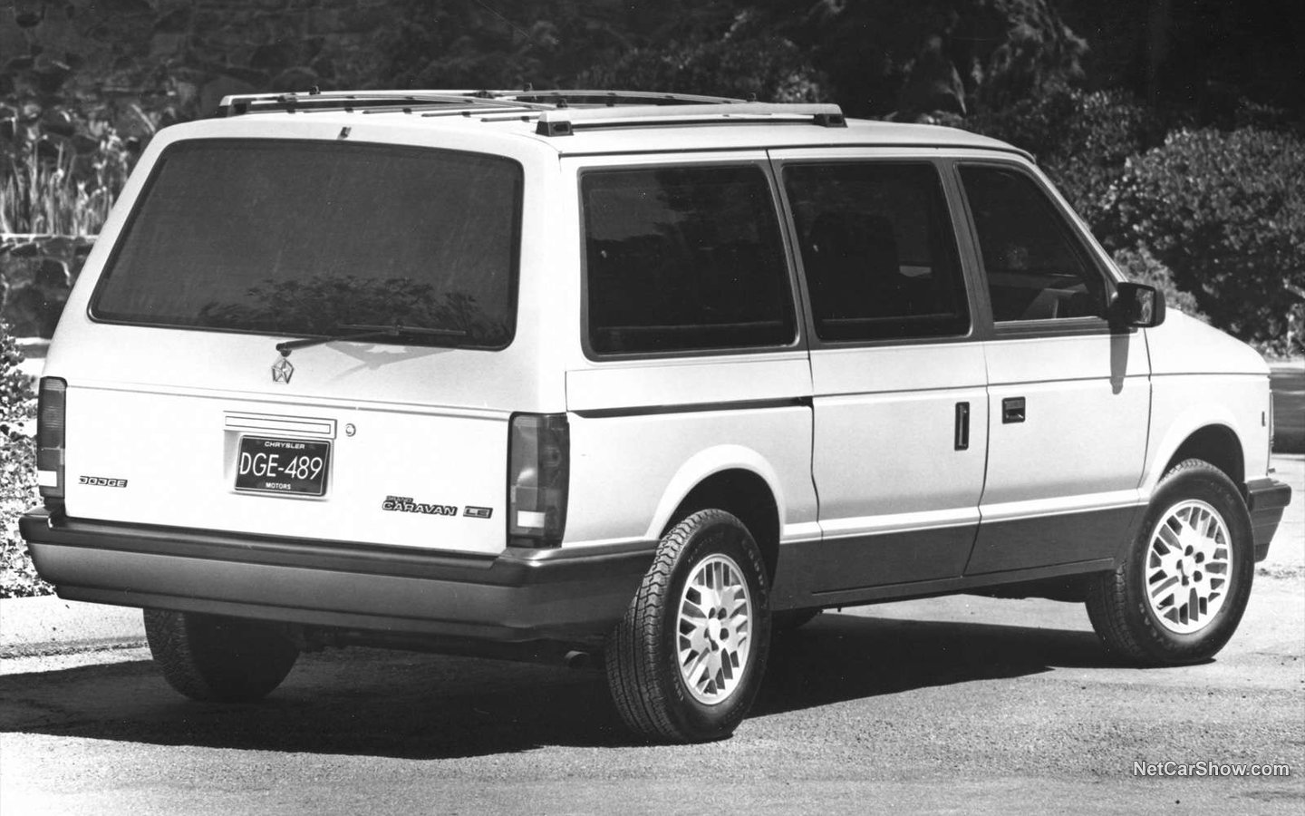 Dodge Caravan 1989 3ca1cebc