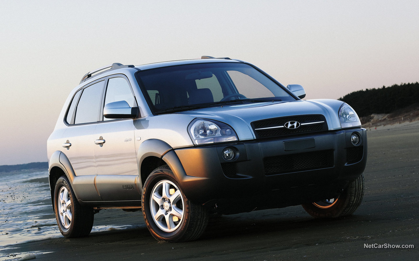 Hyundai Tucson 2005 d5938f31