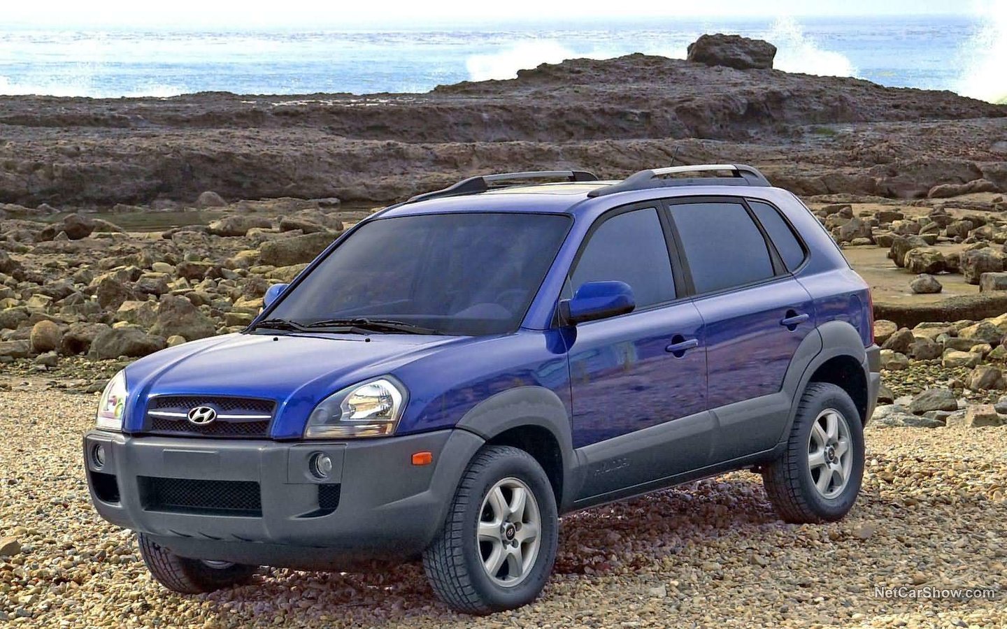 Hyundai Tucson V6 2005 d43a3e3d