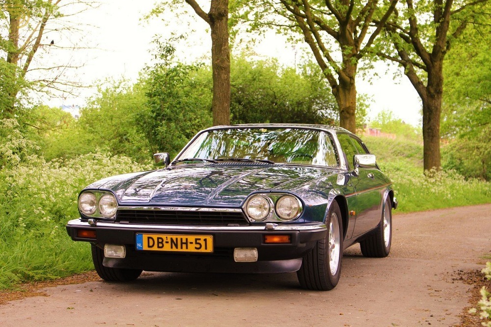 JAGUAR LYNX XJS-R V12 Eventer 1984 jaguarforums 