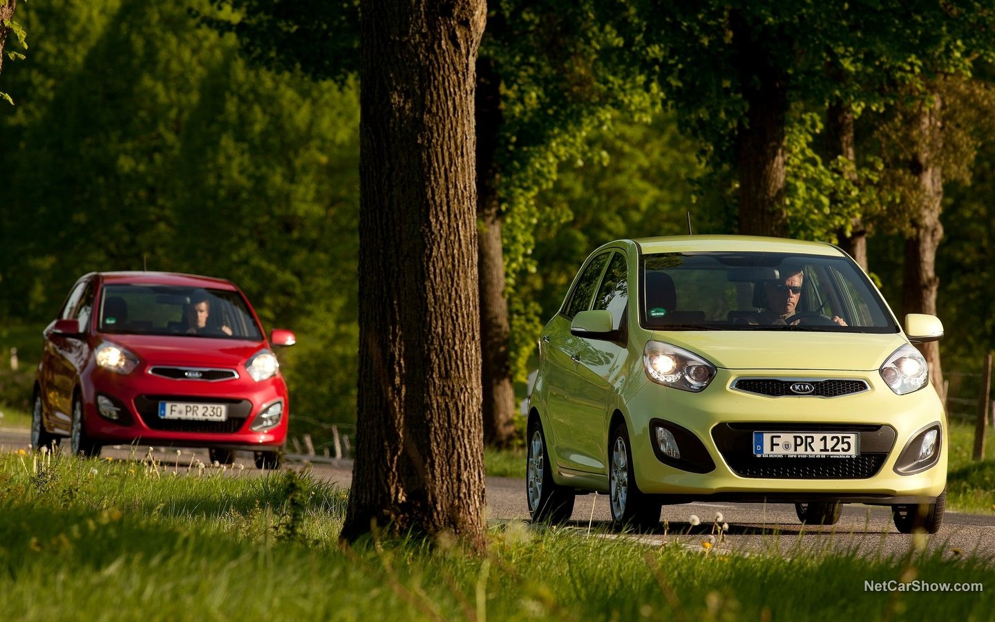 KIA Picanto 2012 bac47221