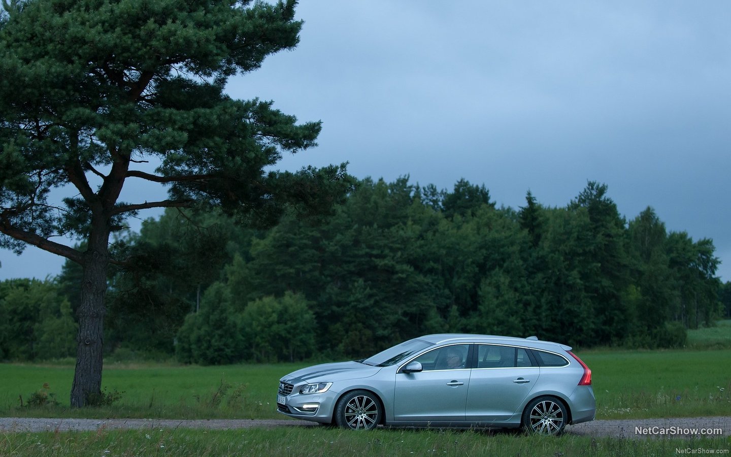 Volvo V60 2014 5c6a943f