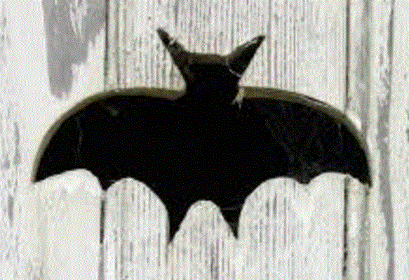 bat bat f.GIF