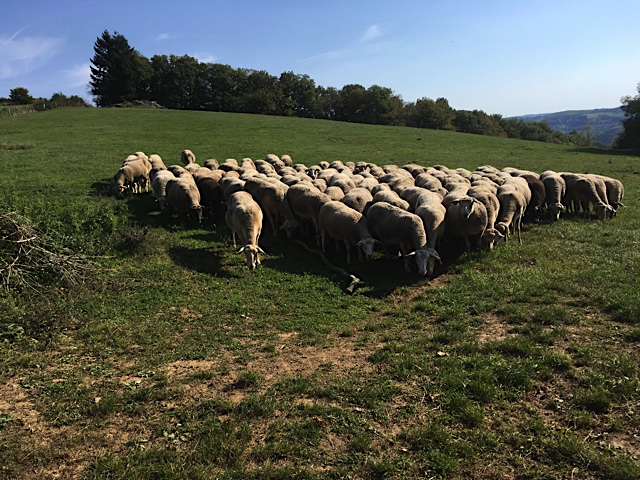 L'Aveyron, c'est ça !