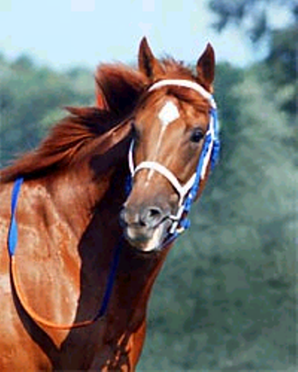 Secretariat 2.png