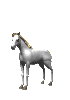 cheval blanc.gif