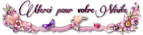 Barre-Merci-visite-coeur-rose.png