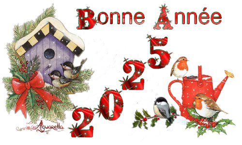 https://static.blog4ever.com/2017/02/827016/Bonne-Ann--e-oiseaux-2025.png