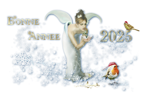 https://static.blog4ever.com/2017/02/827016/Bonne-ann--e-f--e-et-oiseaux2025.png