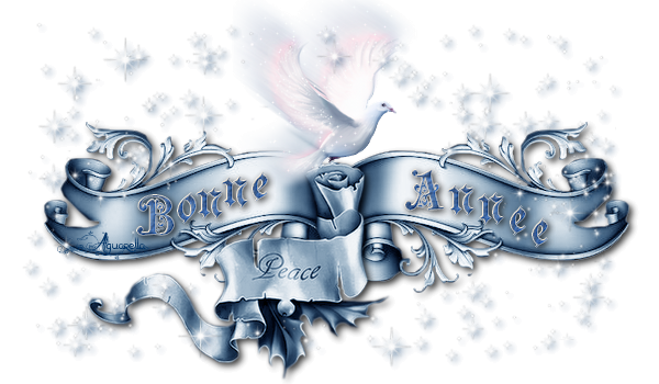 https://static.blog4ever.com/2017/02/827016/Bonne-ann--e-parchment-preciosa-colombe-EN-BLEU.png