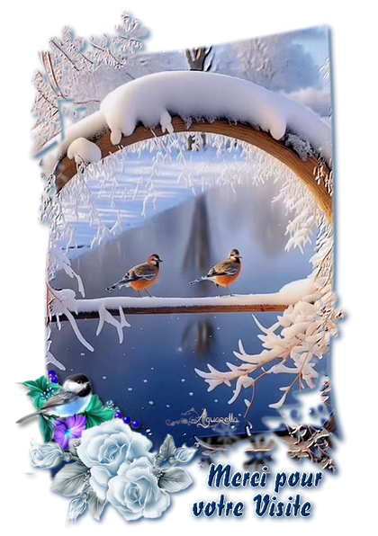 https://static.blog4ever.com/2017/02/827016/Les-oiseaux-sous-arc-de-neige-Merci.png