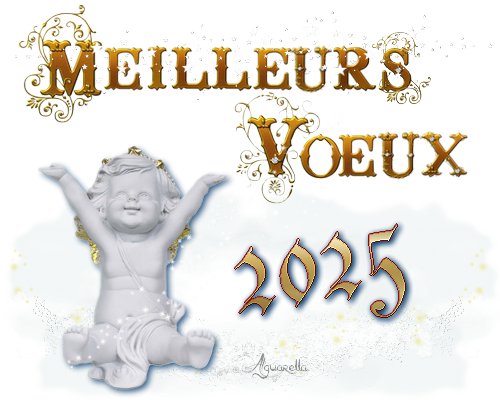 https://static.blog4ever.com/2017/02/827016/Meilleurs-voeux-angelot-2025.png