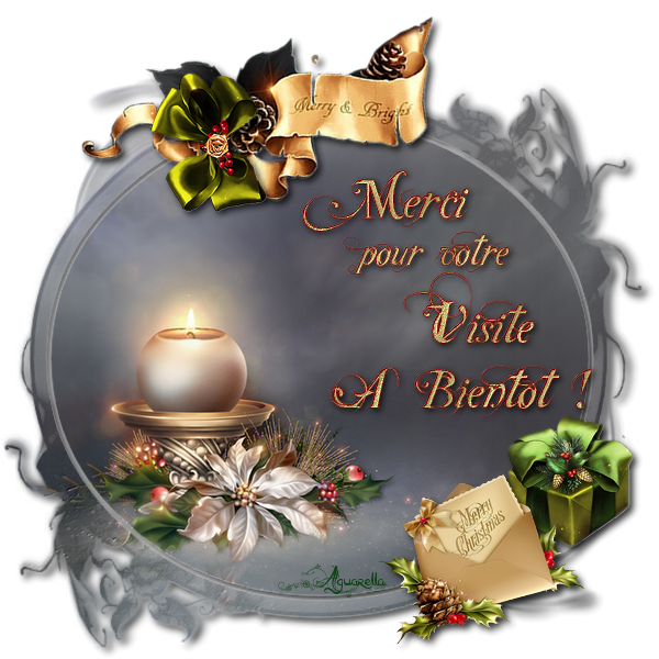 https://static.blog4ever.com/2017/02/827016/Merci----bient--t-m--daillon-chandelle.png