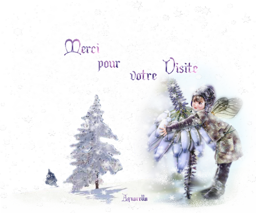 https://static.blog4ever.com/2017/02/827016/Merci-sous-la-neige.png