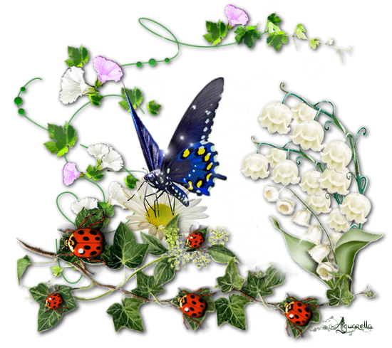 https://static.blog4ever.com/2017/02/827016/Muguet-papillon.png