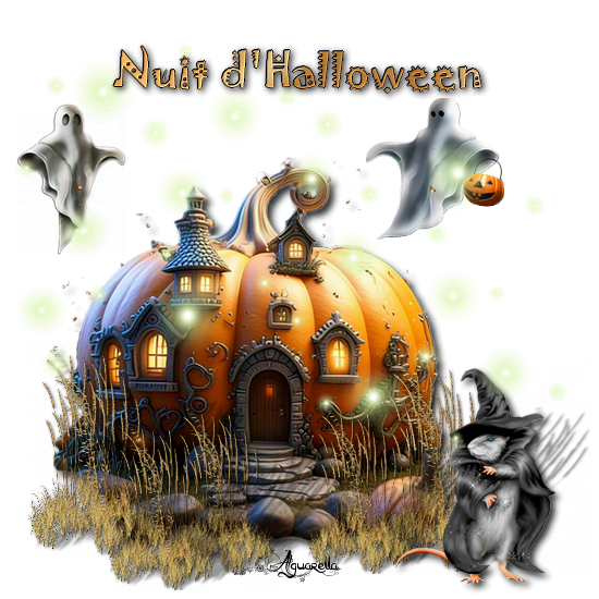 https://static.blog4ever.com/2017/02/827016/Nuit-d--halloween.png