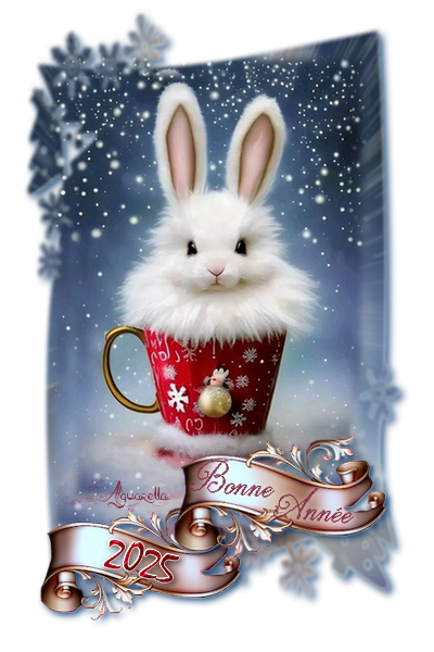 https://static.blog4ever.com/2017/02/827016/Tasse-lapin-2025.png