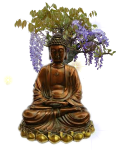 https://static.blog4ever.com/2017/02/827016/bouddha-m--ditation.png