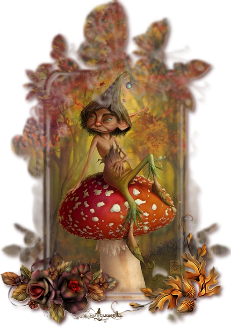 https://static.blog4ever.com/2017/02/827016/elfe-champignon.png