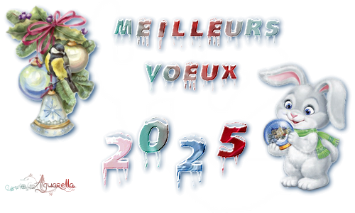 https://static.blog4ever.com/2017/02/827016/voeux-lapin-2025.png