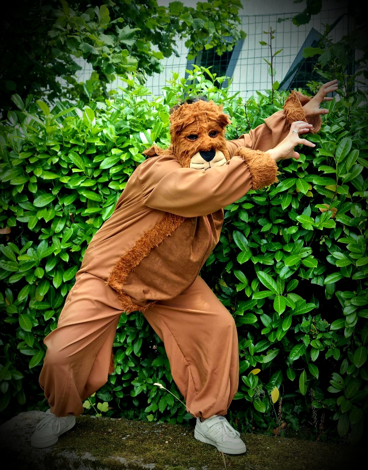 Le Roi Lion