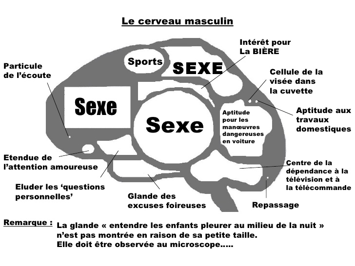 cerveau-de-lhomme-et-de-la-femme-2-728