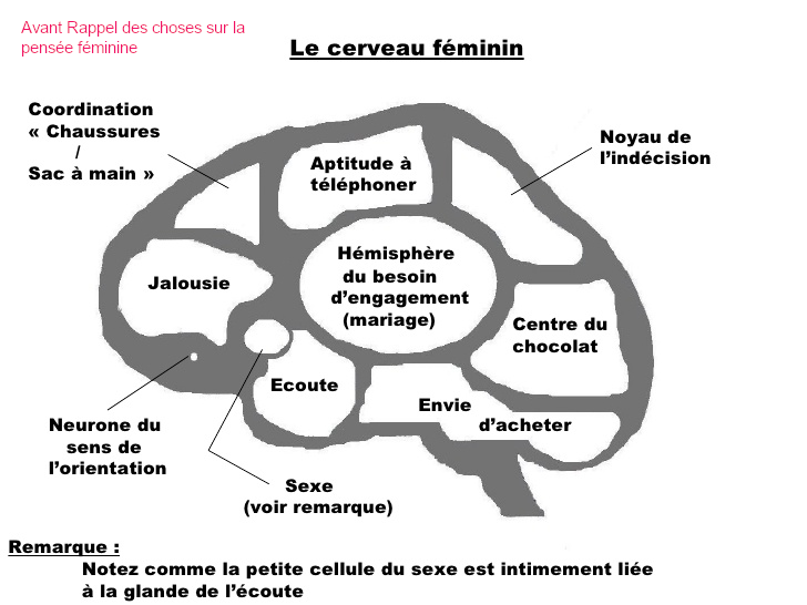 le cerveau avant rappel des choses dangereuse nuis à l\\\'égo d\\\'un mec se sentant femme