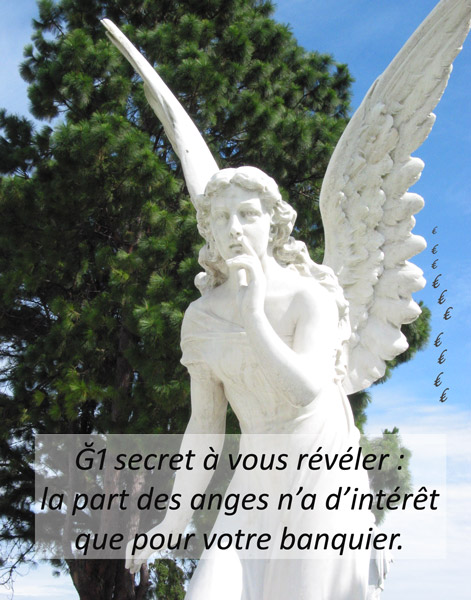 la-part-des-anges.jpg