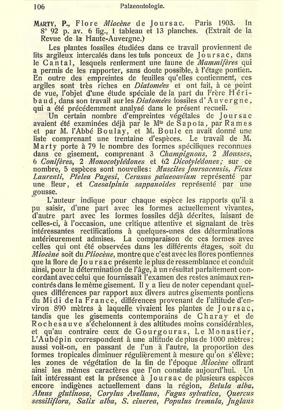 Extrait Flore miocène de Joursac (Cantal) 1903 MARTY Pierre (1903-1937) inventaire Guy PEGERE.jpg