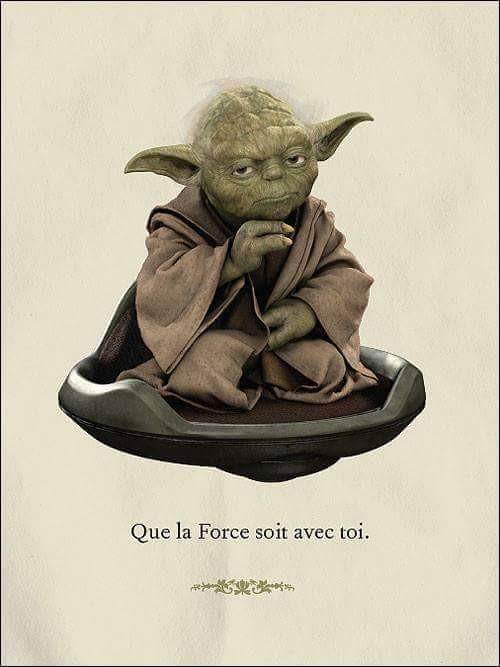 force.jpg