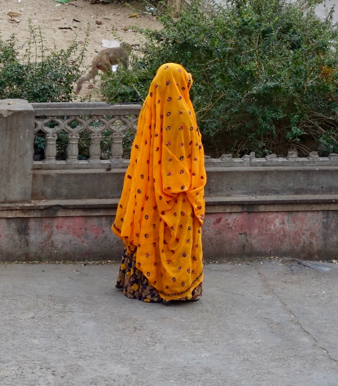 Voilà une belle dame avec un beau sari, voile baissé sur le visage. A l'arrêt, on ne sait pas où se trouve l'avant et l'arrière.  Il faut attendre qu'elle se mette en mouvement. Bien heureux mari ...
