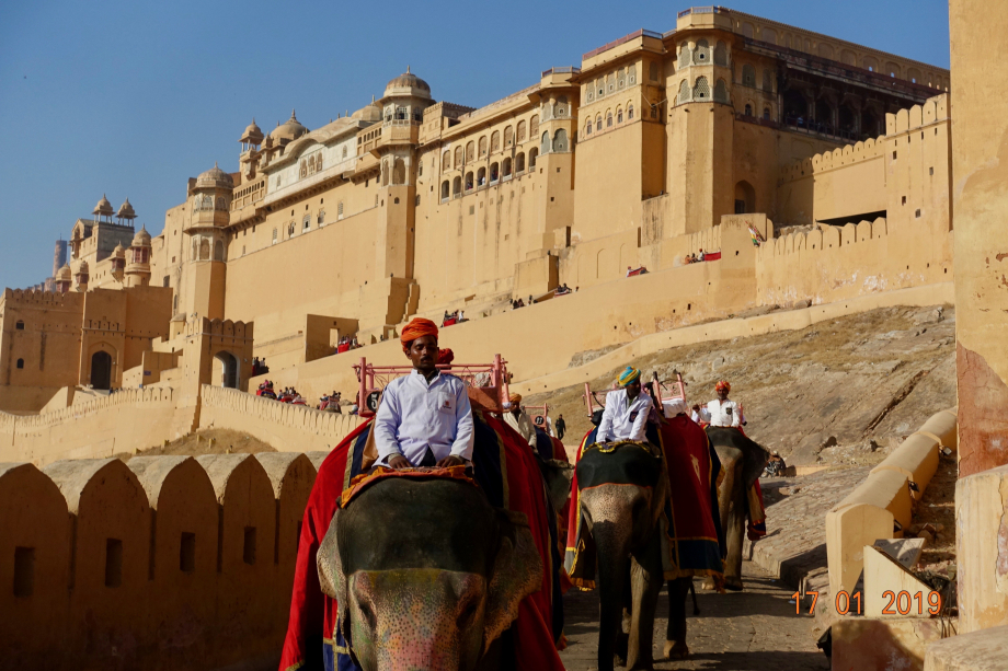 Le fort d'Amber, la merveille de Jaipur capitale du Rajasthan. On y accède à dos d'éléphant-es. Que des dames, plus dociles et moins agressives dixit son cornac.
Elles font environ 4 aller retour par jour avec 2 passagers. La notre, 