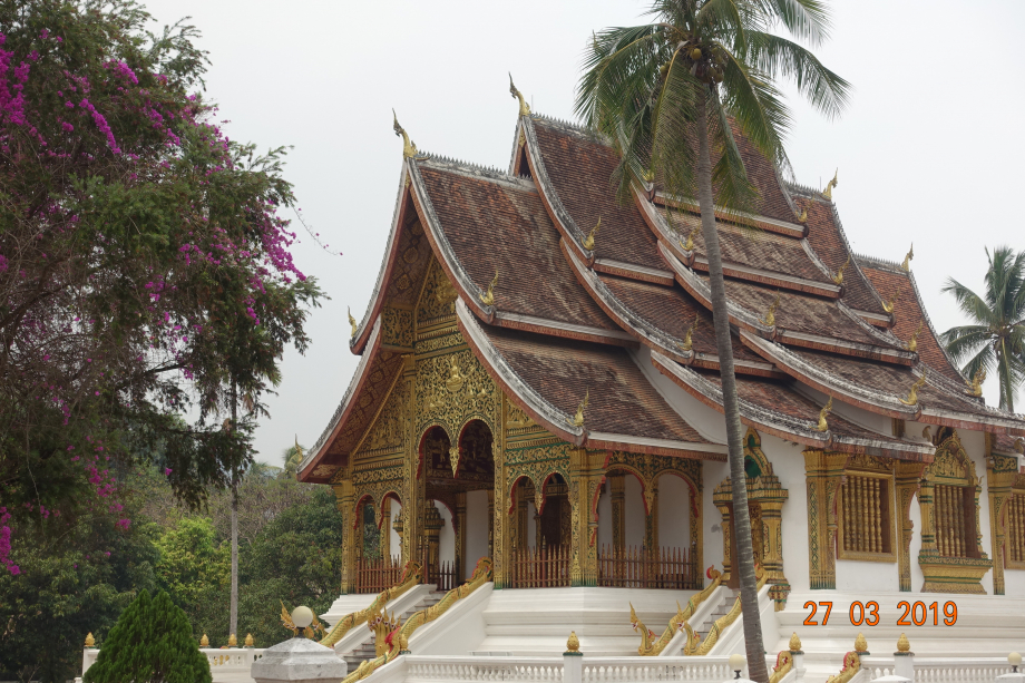 Un temple, celui du Palais Royal. il y en a une multitude à Luang Prabang, tous aussi beaux les uns que les autres.