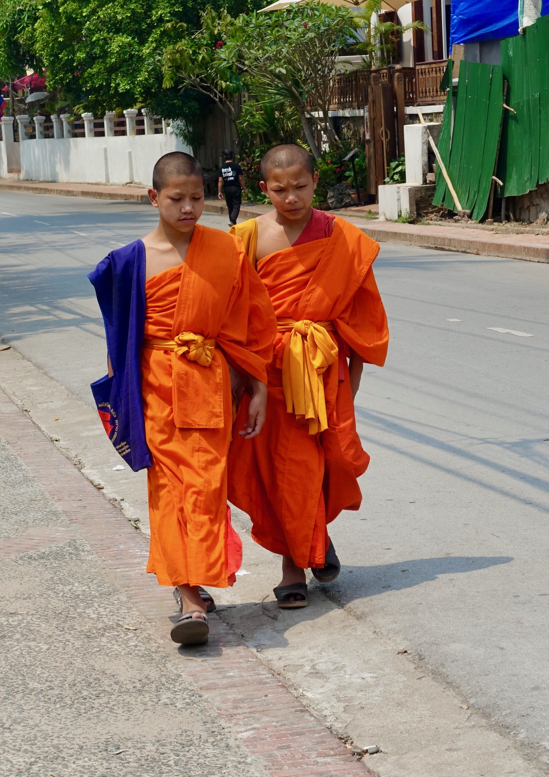 Les moines sont les 