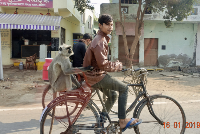 2 amis sur un vélo