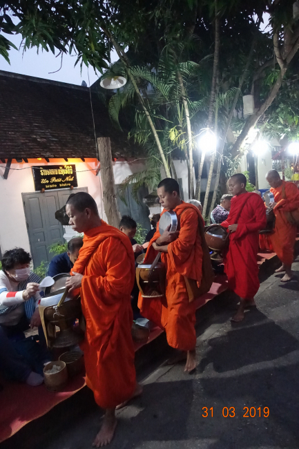 Nourriture des moines à Luang Prabang. Il est 5h30 du matin...