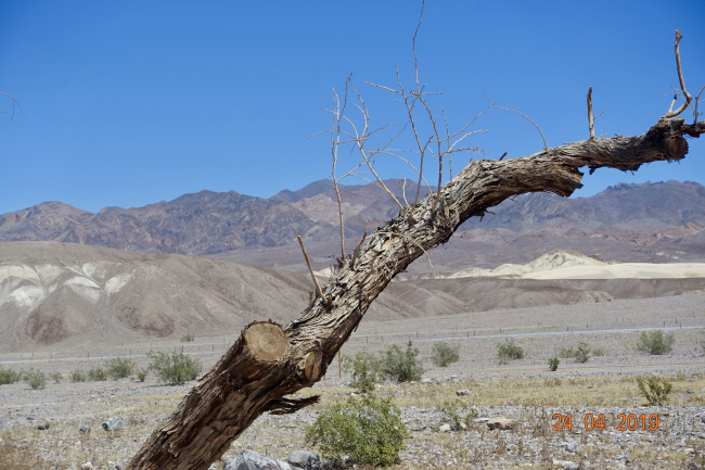 Celle, un peu angoissante et étouffante de Death Valley