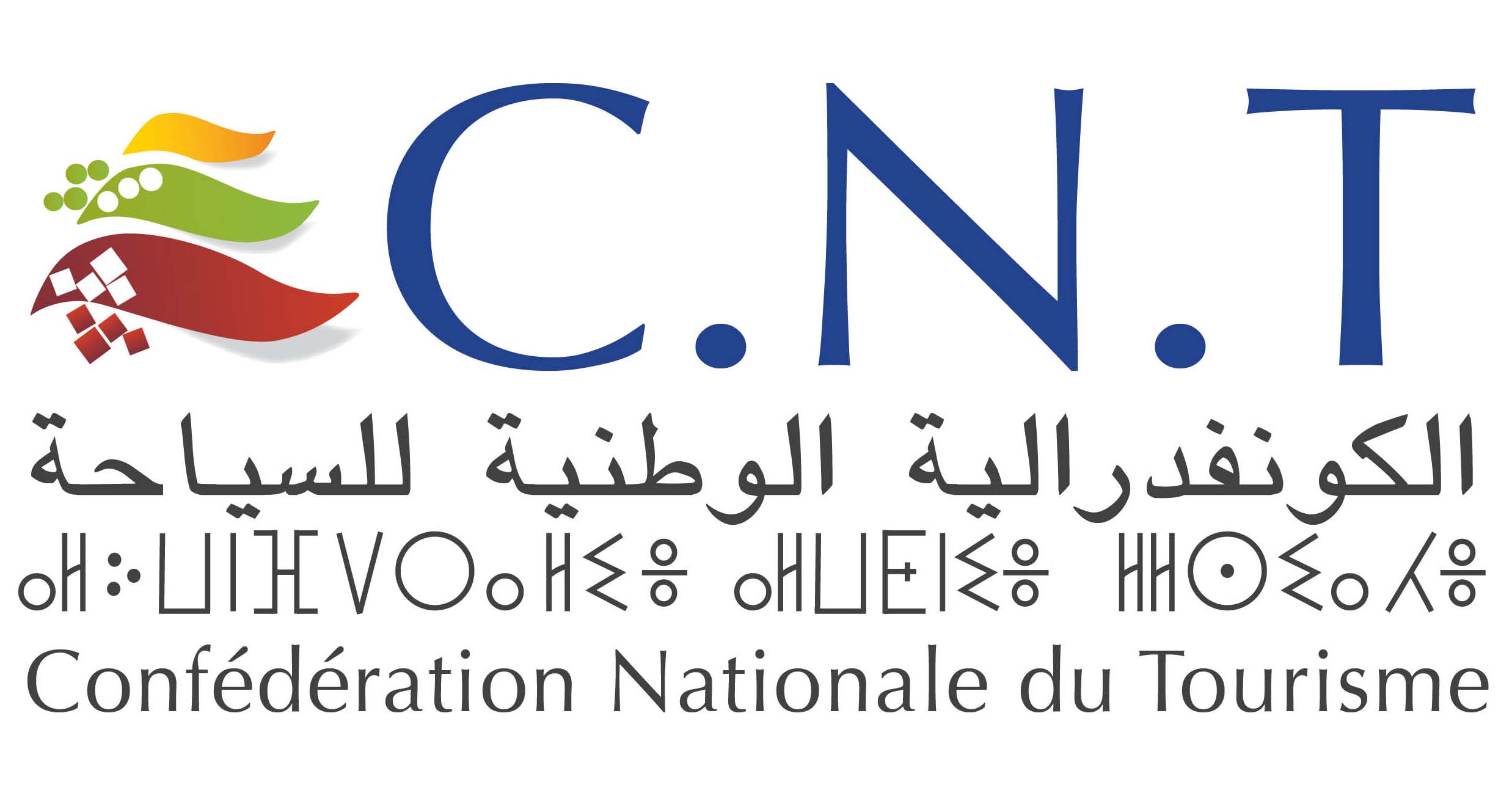 CNT logo HD.jpg