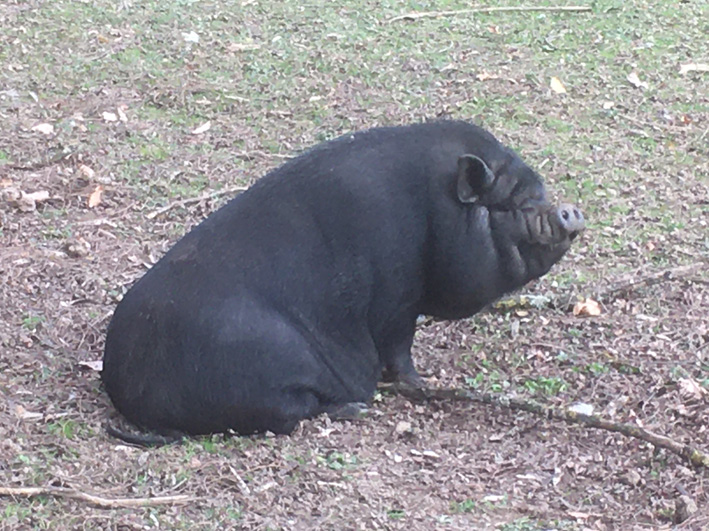 13a.jpg