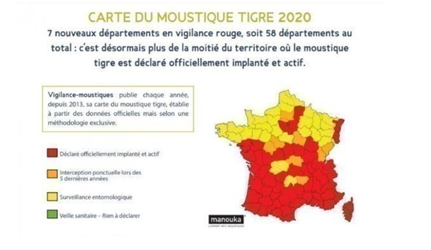 Moustique tigre 2020