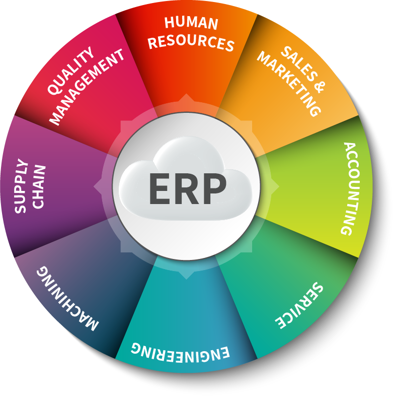 ERP Definition